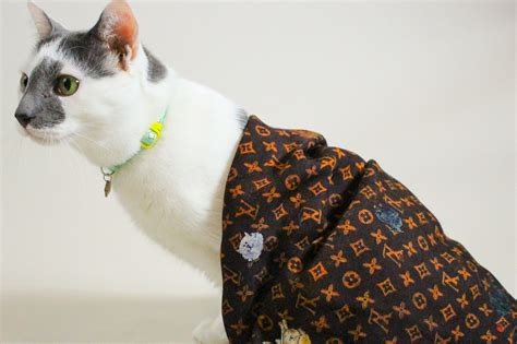 louis vuitton cat collars|louis vuitton catogram.